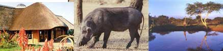 Zululand